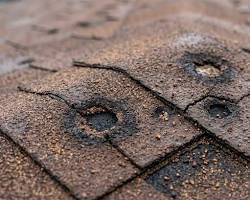Common roof issues on homes around Newton